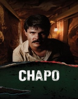 voir serie El Chapo Temporada  1