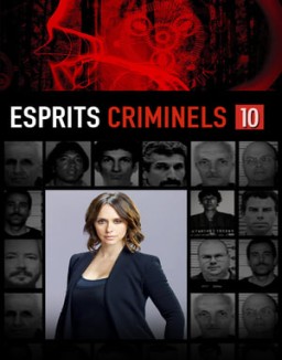 voir serie Esprits criminels Temporada  10