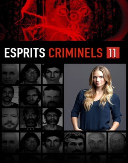 voir serie Esprits criminels Temporada  11