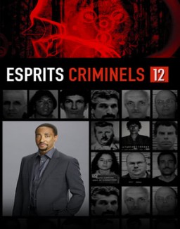 voir serie Esprits criminels Temporada  12