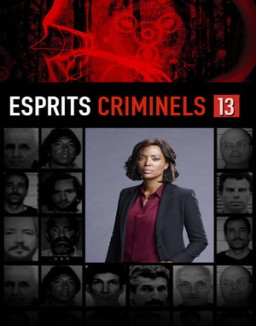 voir serie Esprits criminels Temporada  13