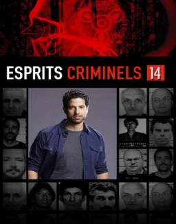 voir serie Esprits criminels Temporada  14