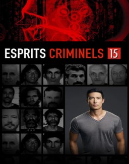 voir serie Esprits criminels Temporada  15