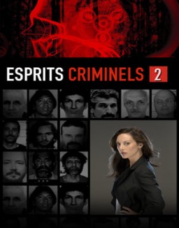 voir serie Esprits criminels Temporada  2