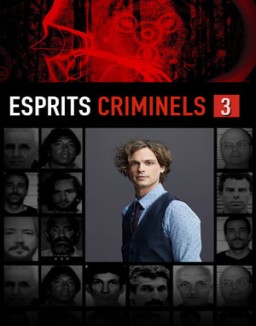 voir serie Esprits criminels Temporada  3