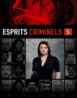 voir serie Esprits criminels Temporada  5
