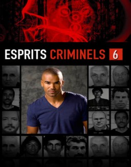 voir serie Esprits criminels Temporada  6