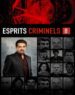 voir serie Esprits criminels Temporada  8