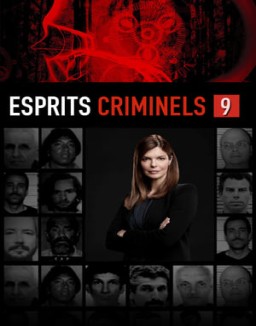 voir serie Esprits criminels Temporada  9