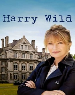 voir serie Harry Wild Temporada  1