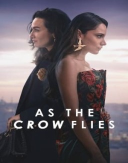 voir serie Les Ailes de l’Ambition Temporada  2