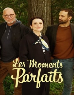 voir serie Les moments parfaits Temporada  1
