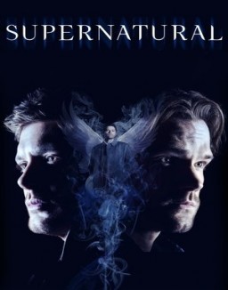 voir serie Supernatural Temporada  14