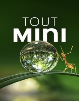 voir serie Tiny World Temporada  1